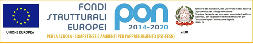 logo pon